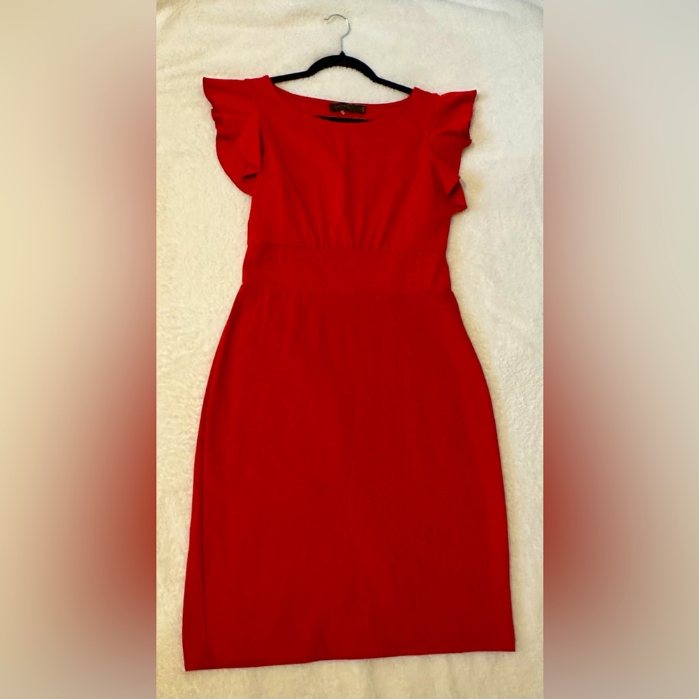 Ruffle sleeves dress